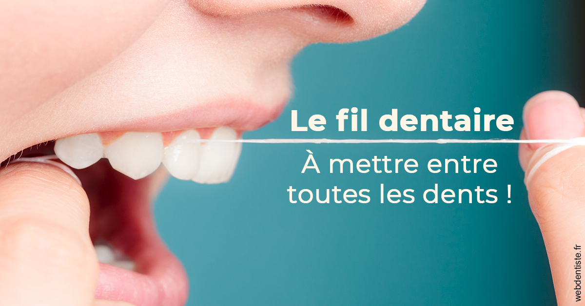 https://dr-vincent-maire.chirurgiens-dentistes.fr/Le fil dentaire 2
