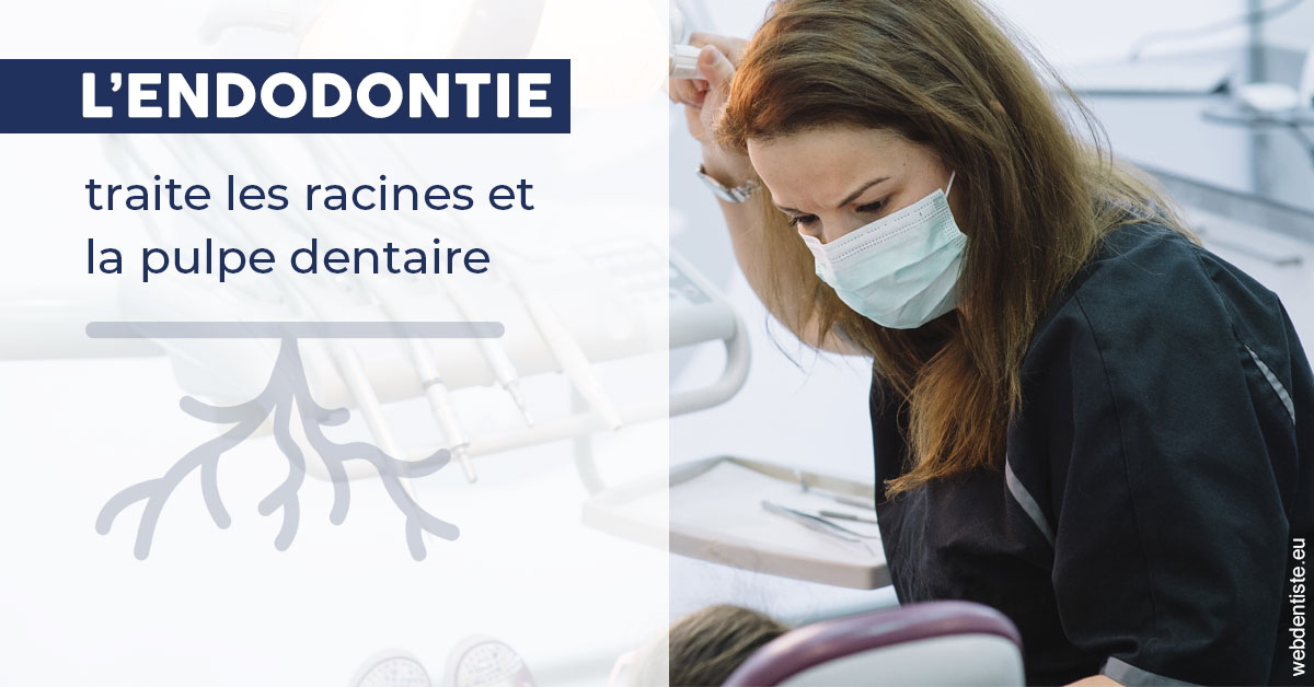 https://dr-vincent-maire.chirurgiens-dentistes.fr/L'endodontie 1