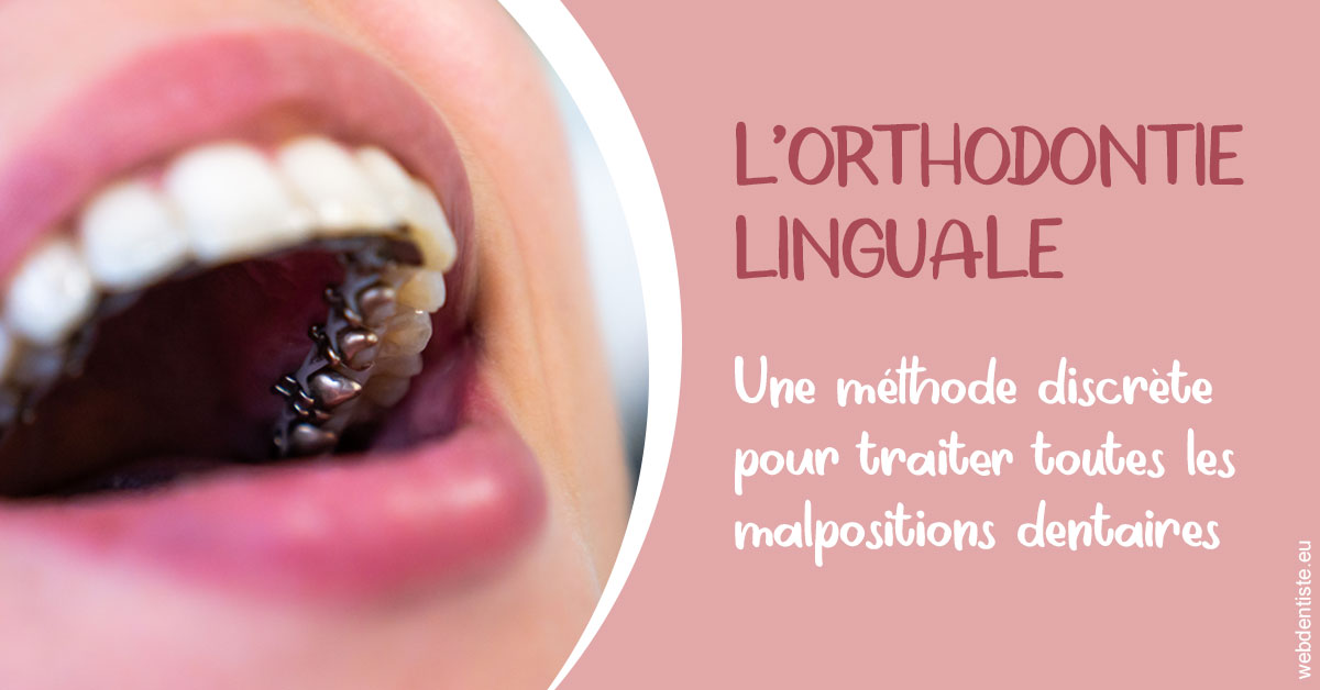 https://dr-vincent-maire.chirurgiens-dentistes.fr/L'orthodontie linguale 2