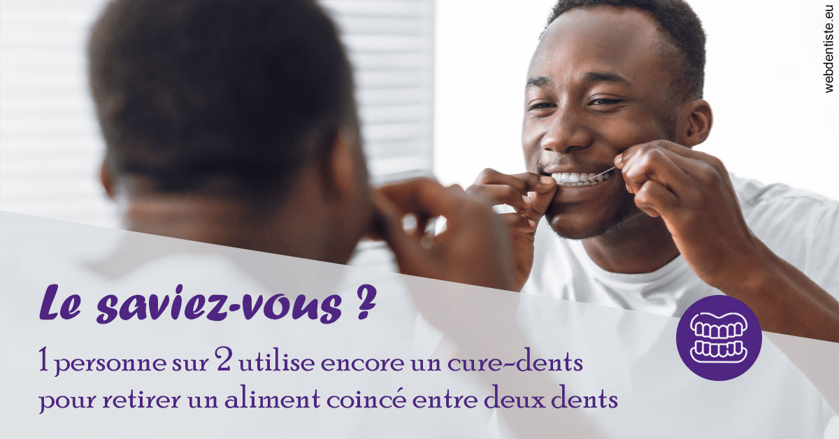 https://dr-vincent-maire.chirurgiens-dentistes.fr/Cure-dents 2