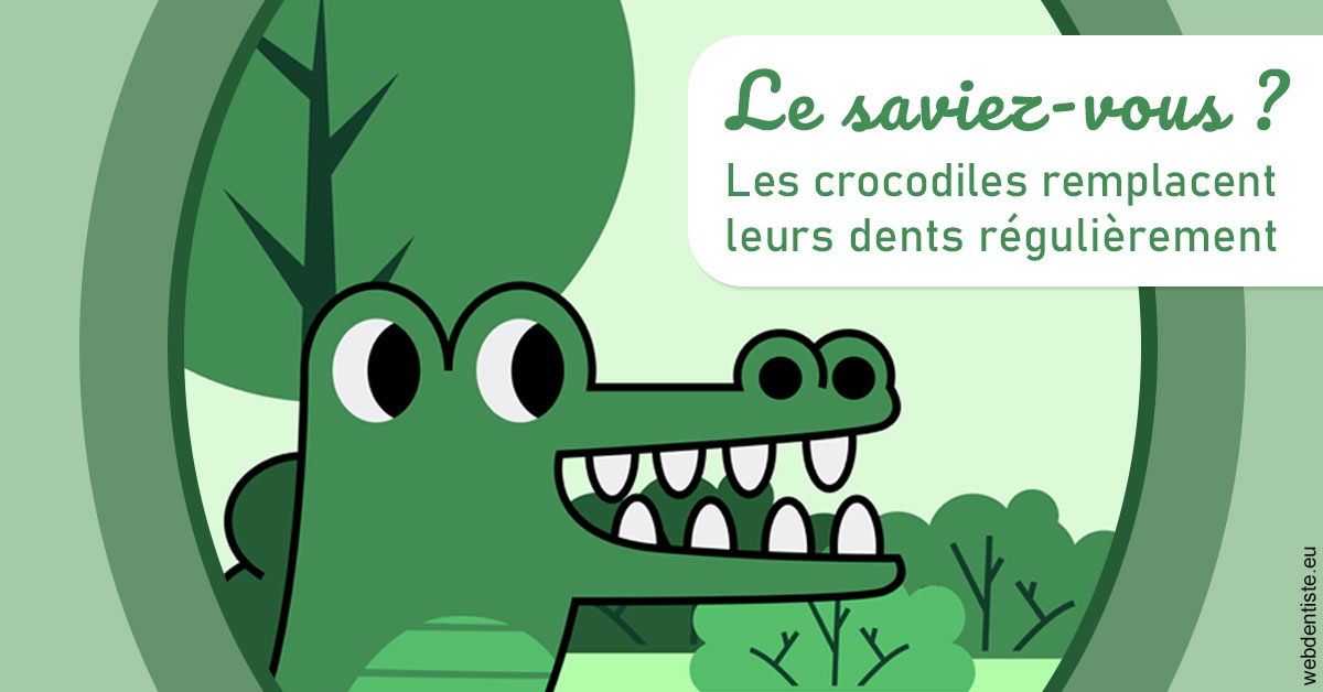 https://dr-vincent-maire.chirurgiens-dentistes.fr/Crocodiles 2