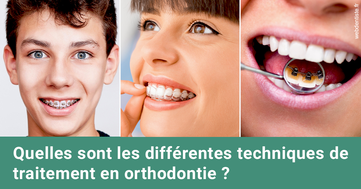 https://dr-vincent-maire.chirurgiens-dentistes.fr/Les différentes techniques de traitement 2